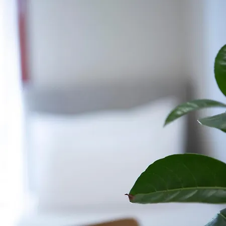 Hotel apartamentowy Athina 4*